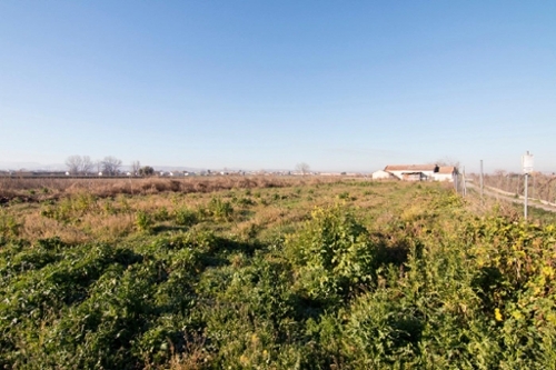 Barrio De Granada Alacantí Grundstück Bild 6319552