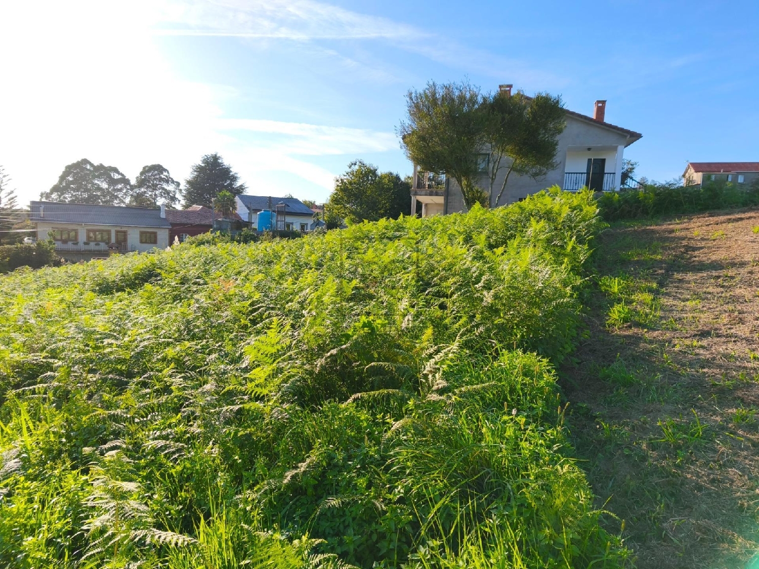  for sale plot Cabanas Barcala 8
