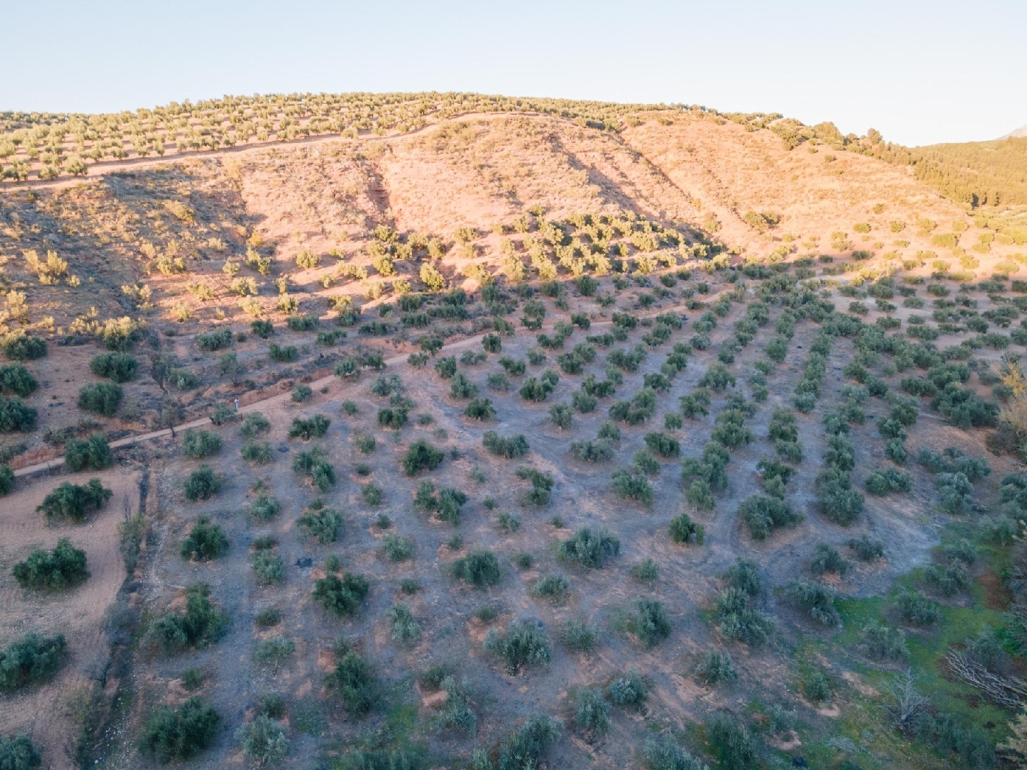 te koop perceel Calicasas Vega De Granada 7