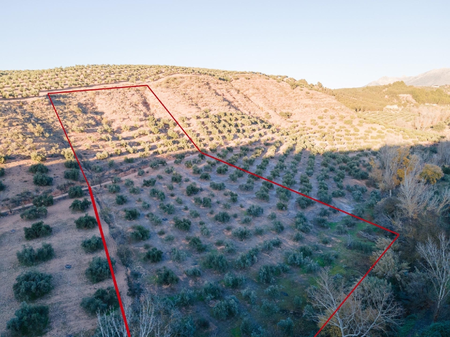 te koop perceel Calicasas Vega De Granada 1