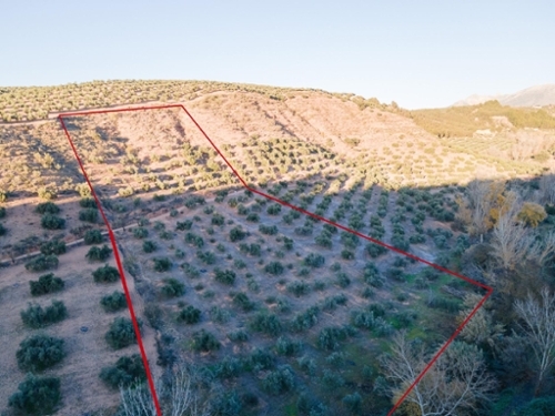 Calicasas Vega De Granada perceel foto 6316599