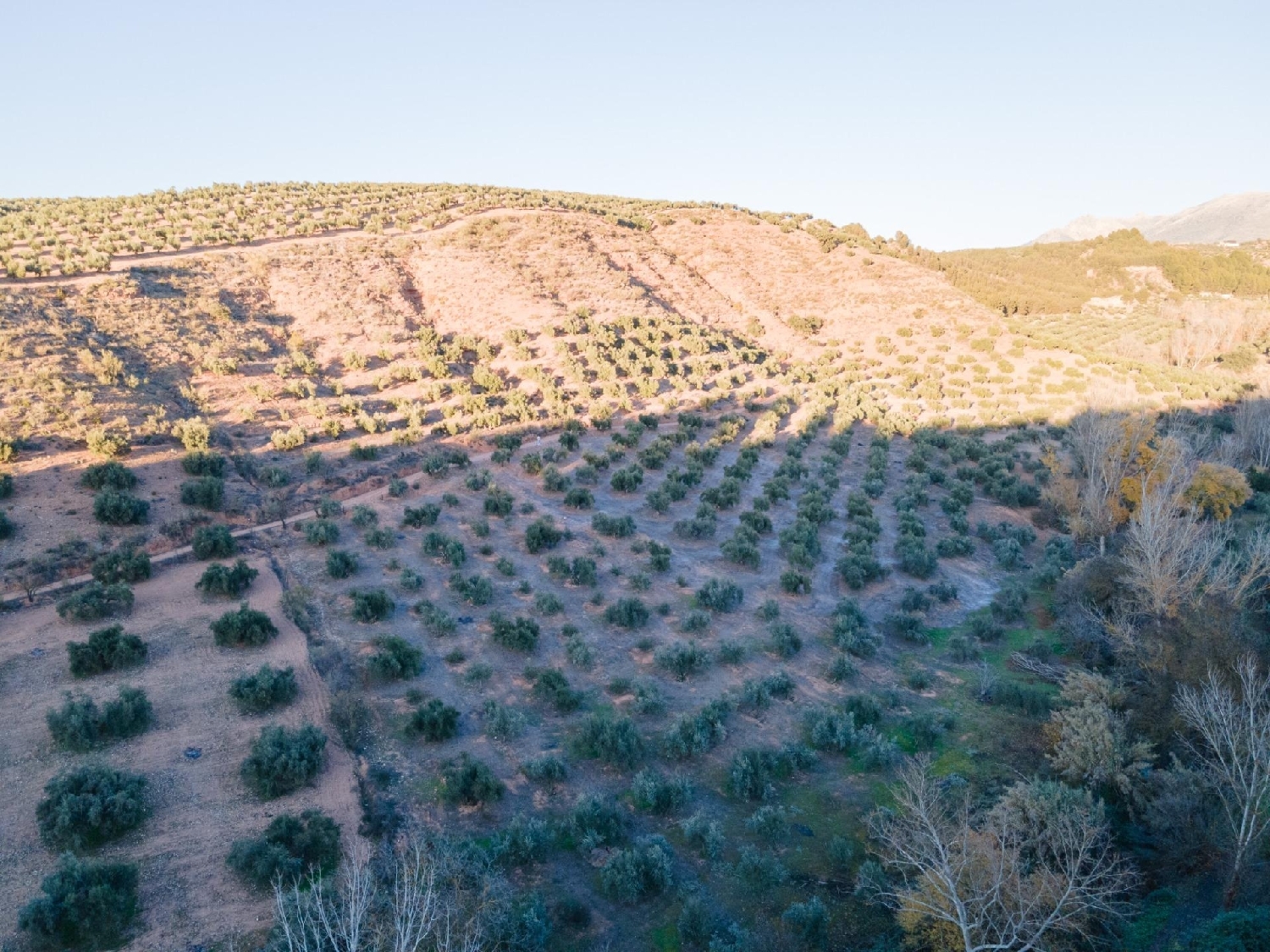  kaufen Grundstück Calicasas Vega De Granada 6