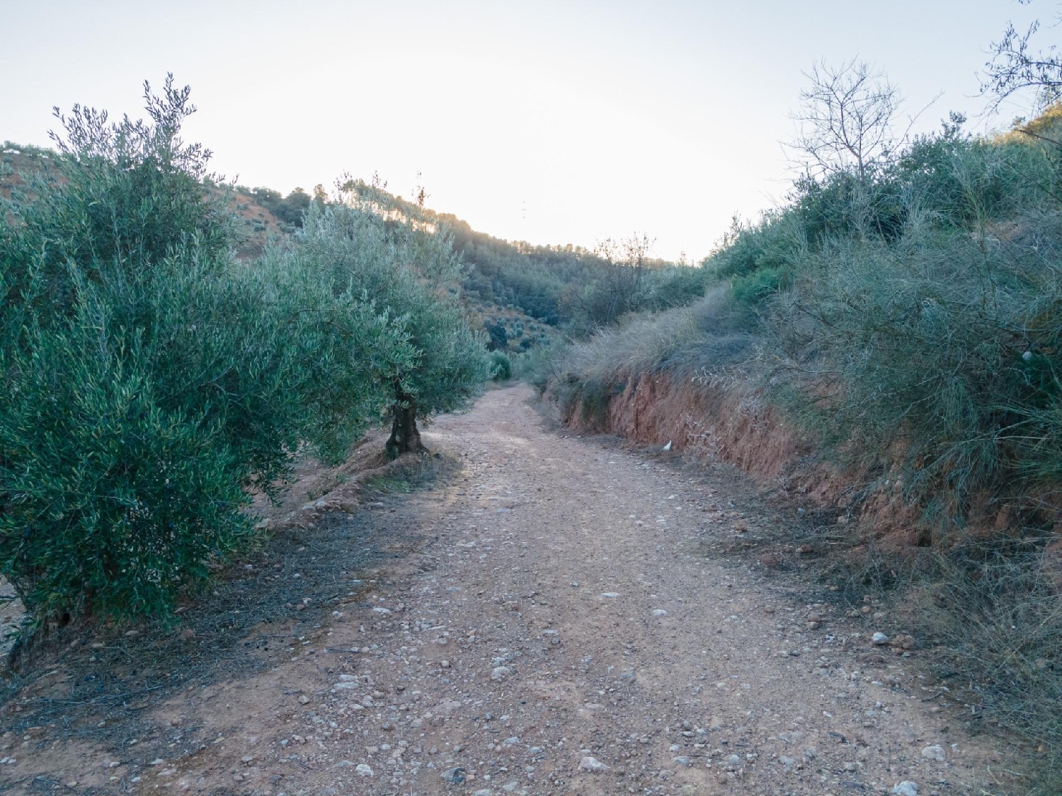  kaufen Grundstück Calicasas Vega De Granada 4