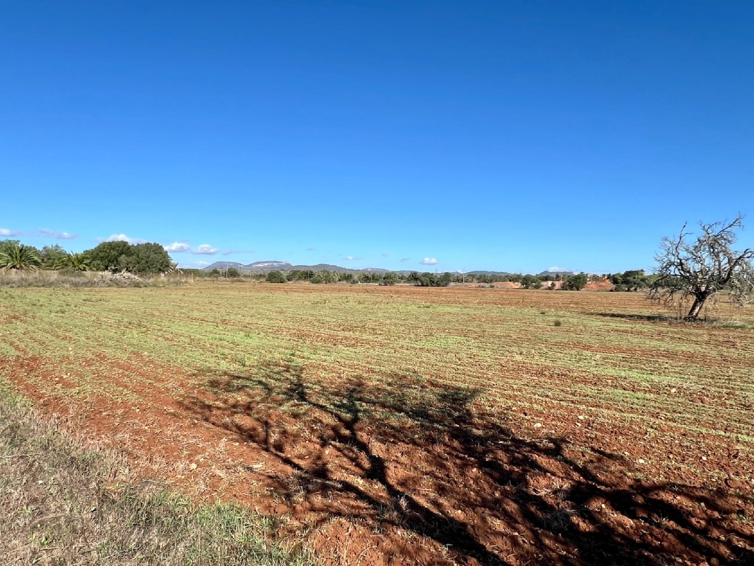  en venta terreno Campos Sud 1