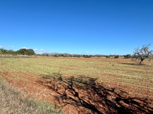 Campos Sud terreno foto 6319057