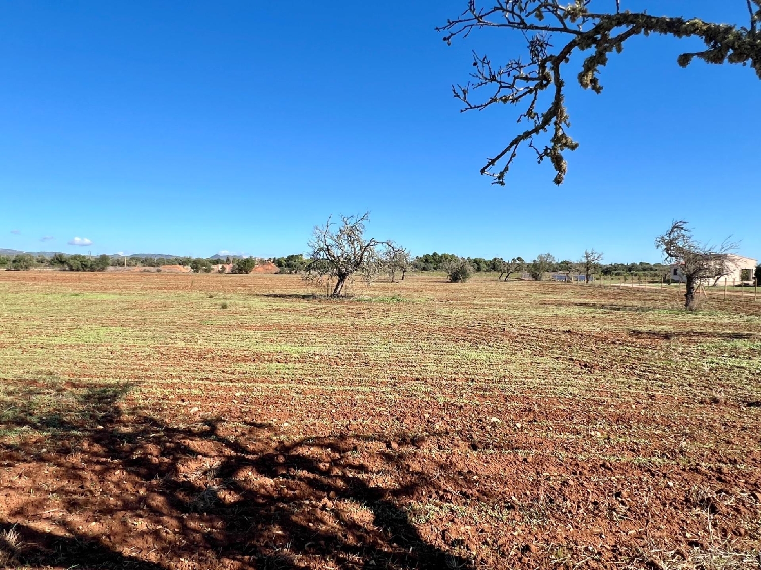  en venta terreno Campos Sud 6