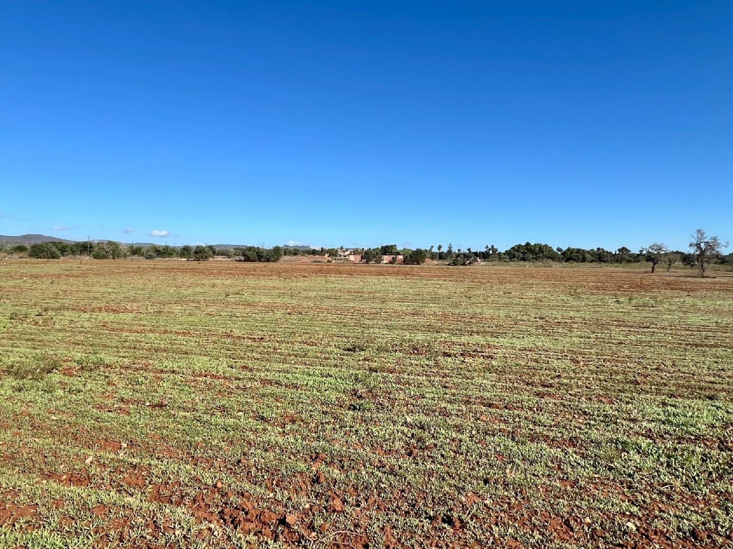  en venta terreno Campos Sud 2