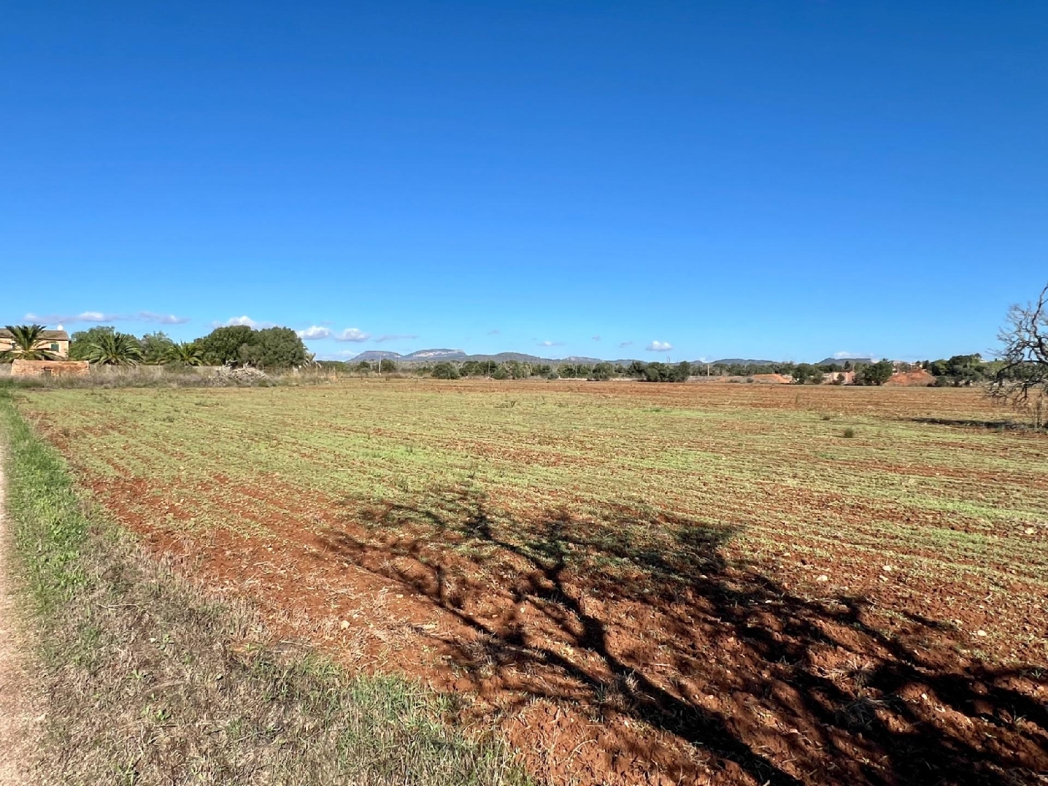  en venta terreno Campos Sud 7