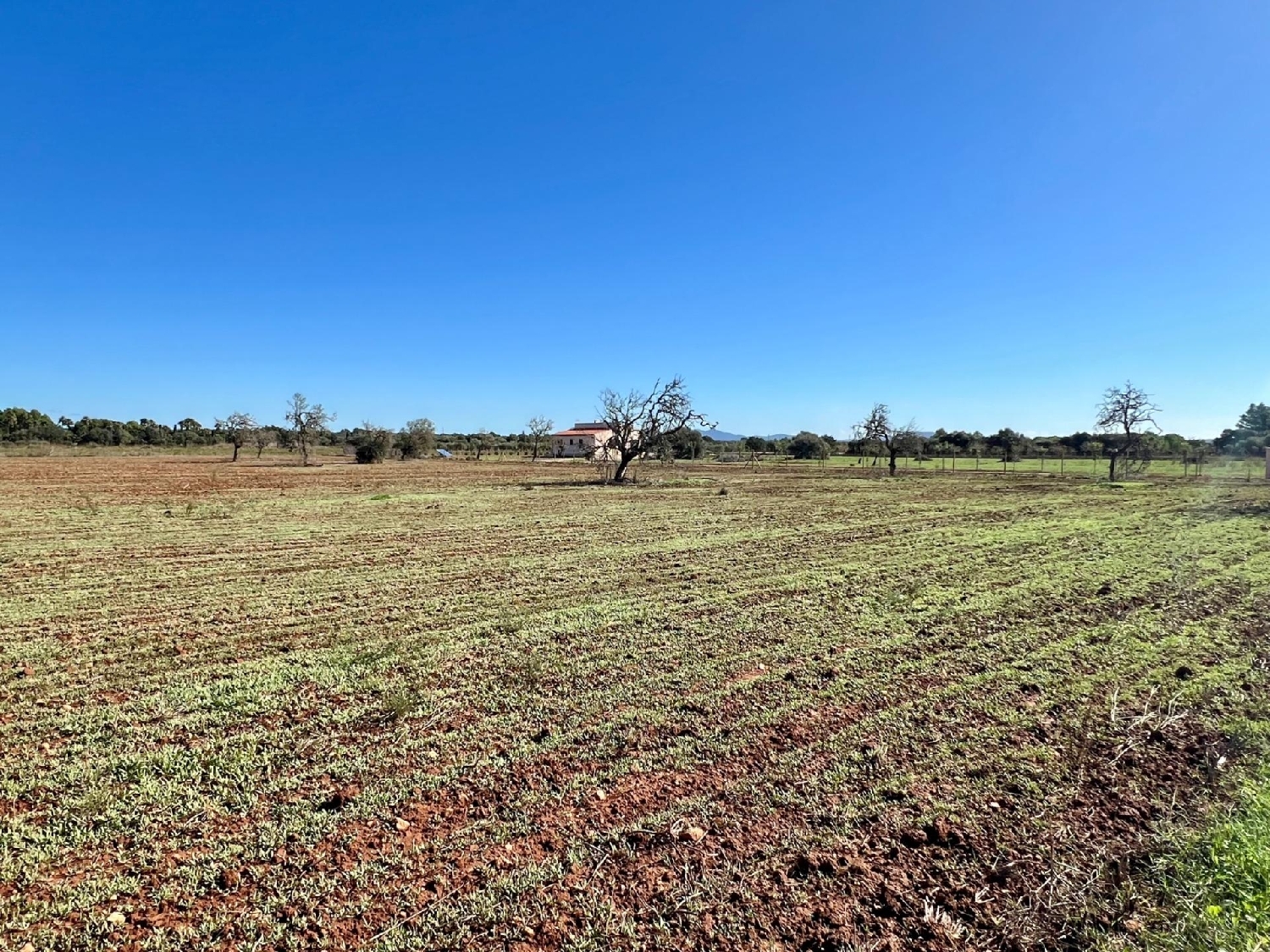  en venta terreno Campos Sud 3