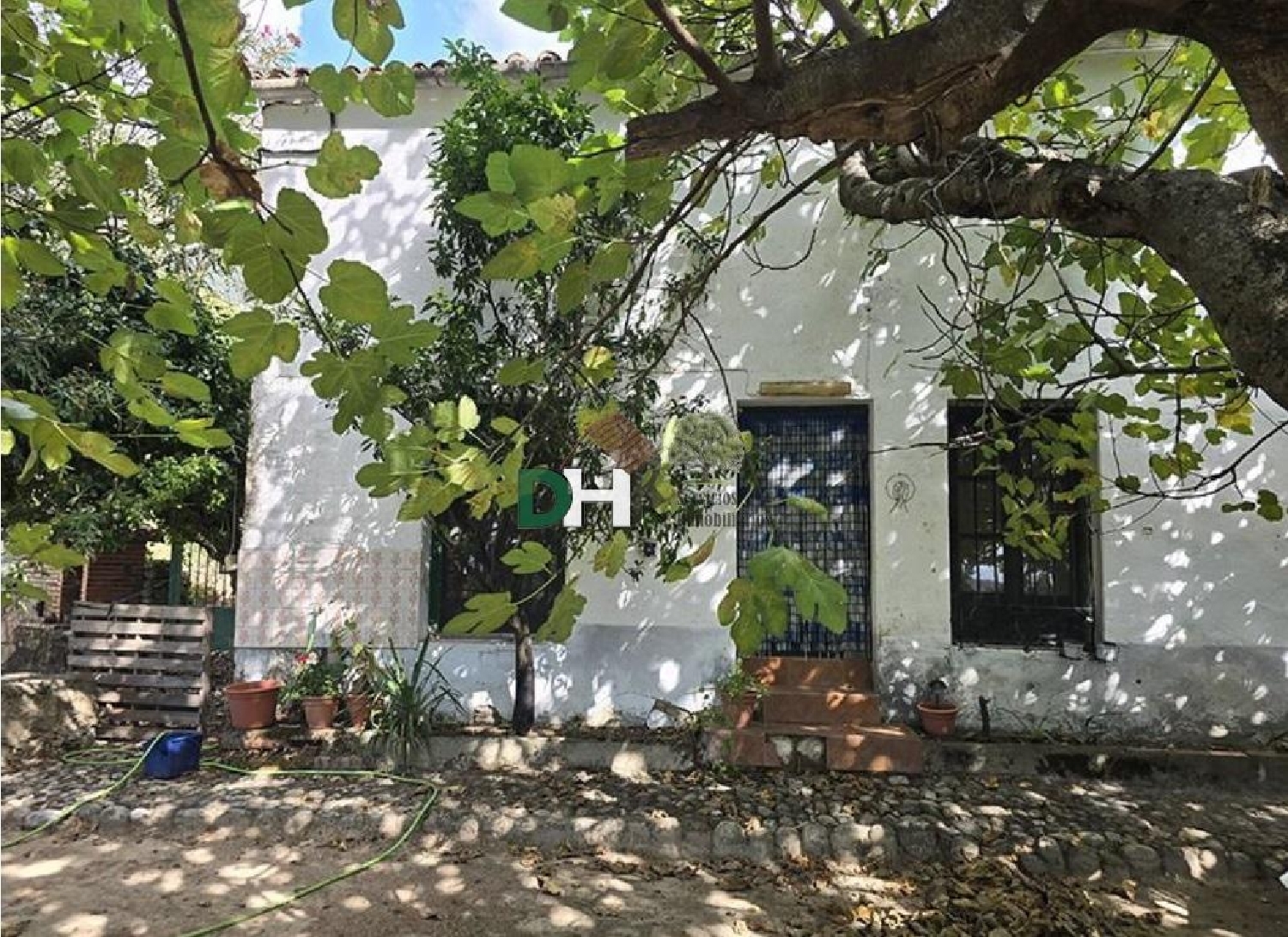 kaufen Grundstück Casar De Cáceres Tajo-Salor 6