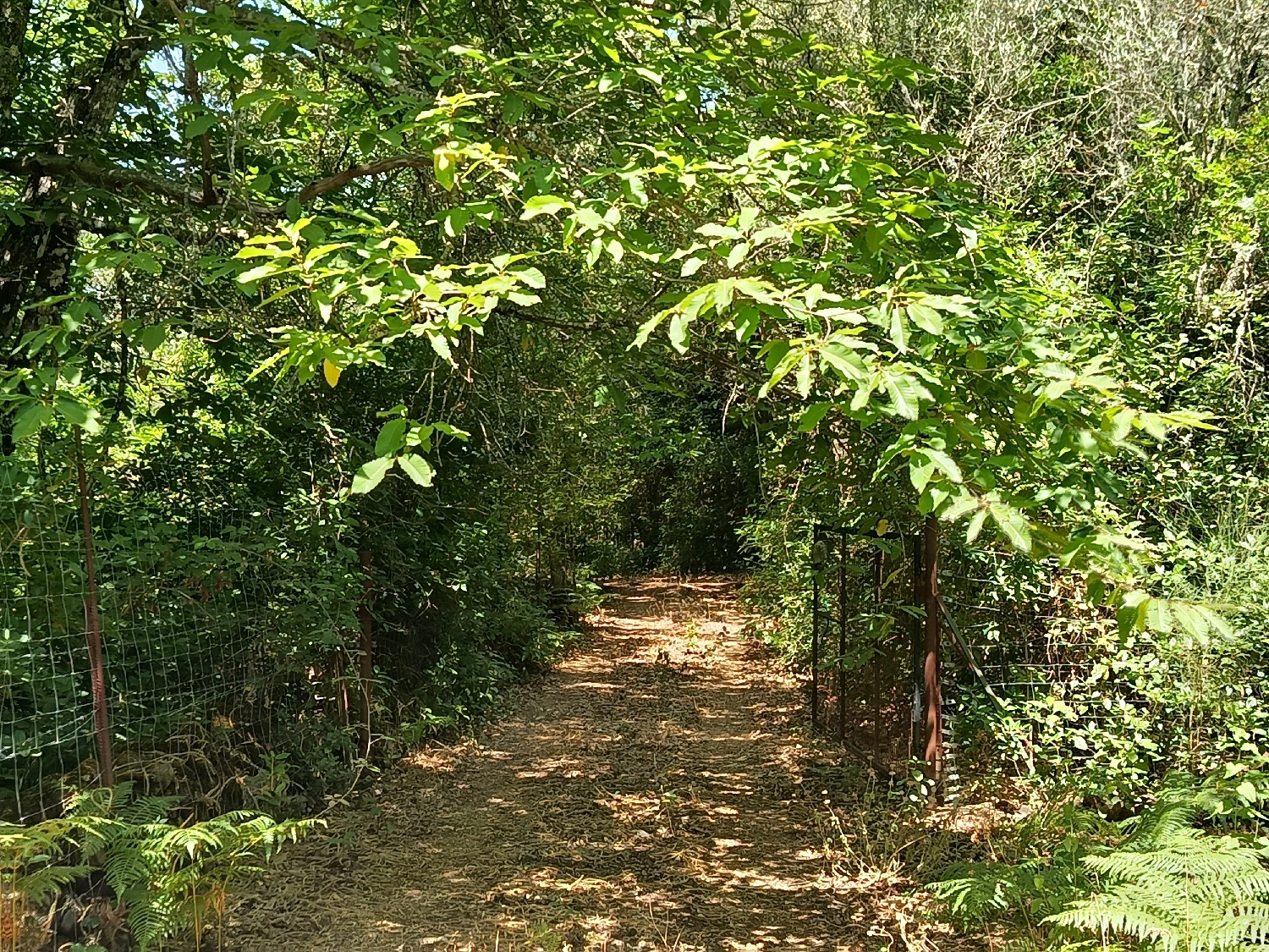 kaufen Grundstück Castaño Del Robledo Sierra De Huelva 3