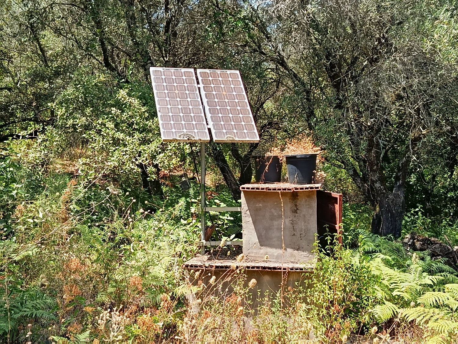  kaufen Grundstück Castaño Del Robledo Sierra De Huelva 7