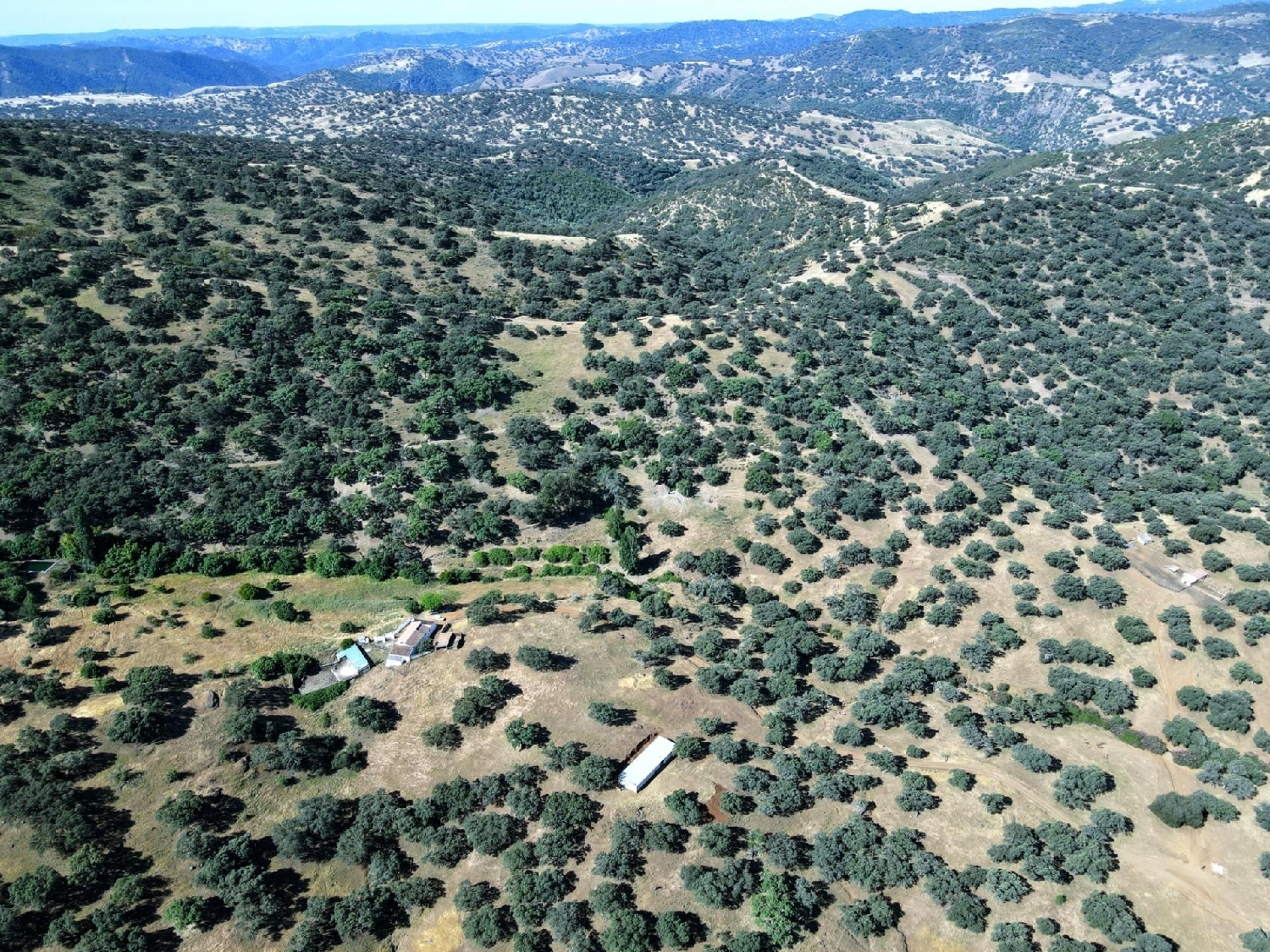  à vendre terrain Cazalla De La Sierra Sierra Norte 5