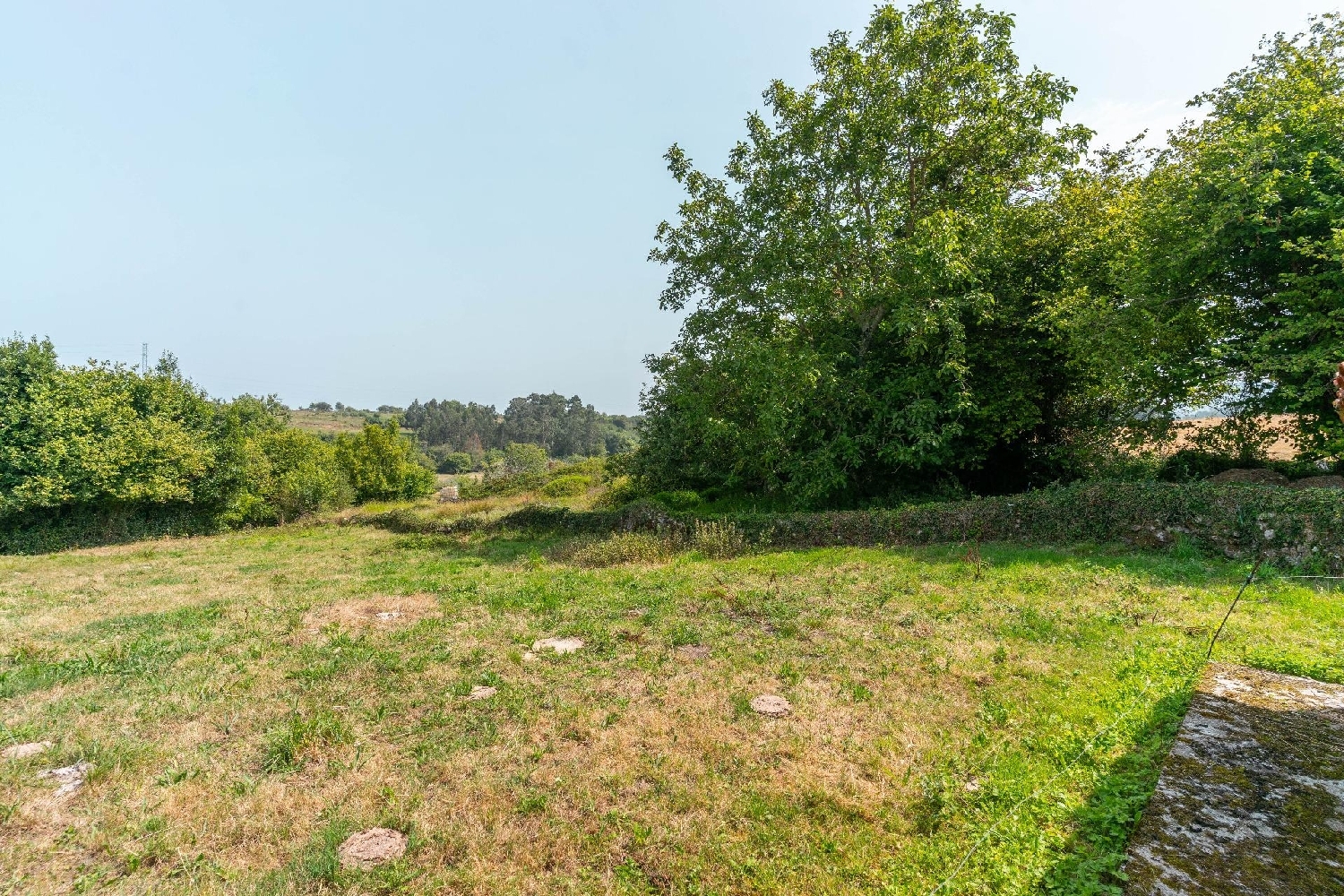  en venta terreno Colunga Oriente 5