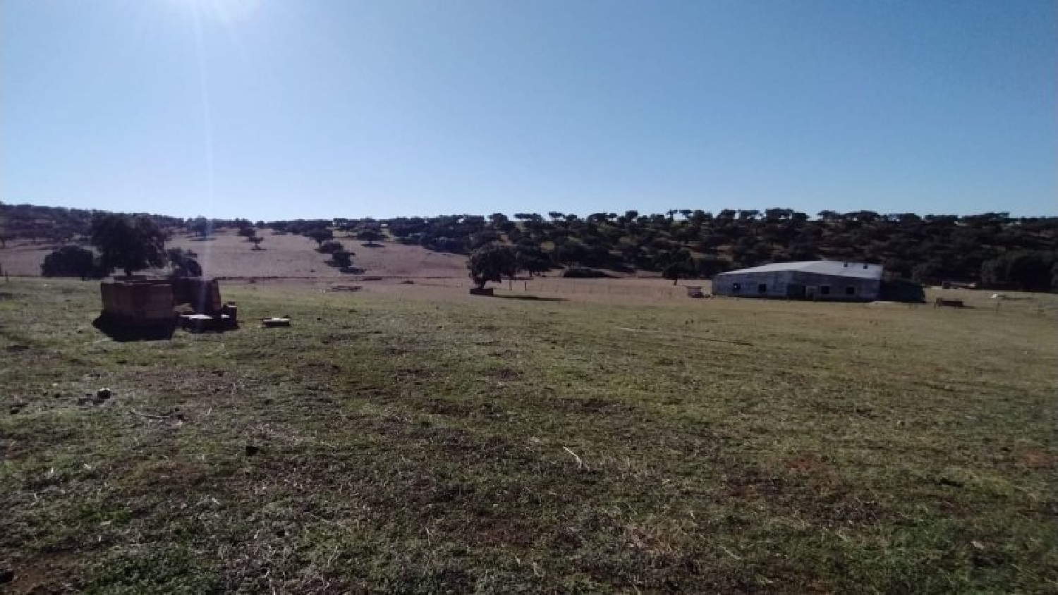  à vendre terrain Fuente Obejuna Valle Del Guadiato 1