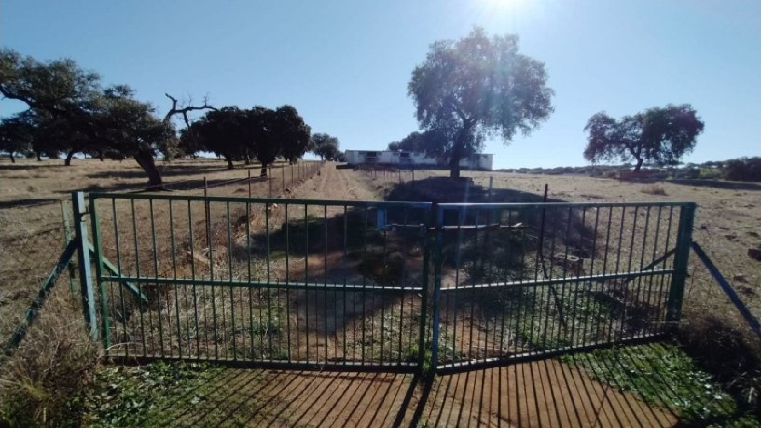  à vendre terrain Fuente Obejuna Valle Del Guadiato 6