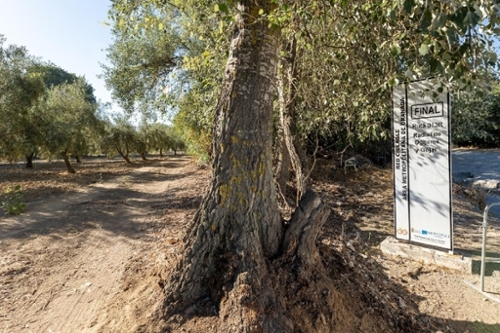 Gójar Vega De Granada Grundstück Bild 6319518