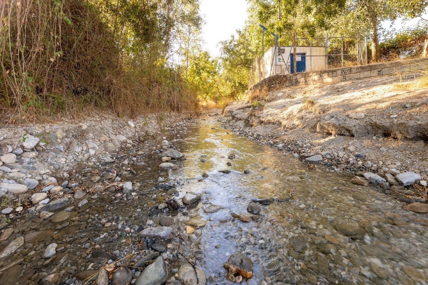  kaufen Grundstück Gójar Vega De Granada 5