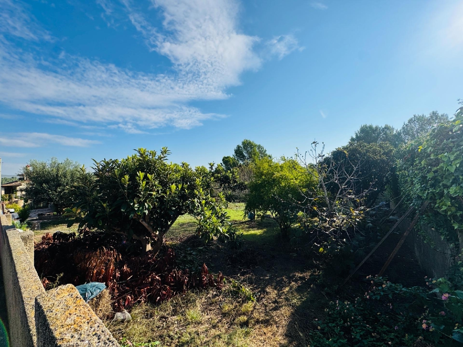 for sale plot La Bisbal Del Penedès Baix Penedès 1