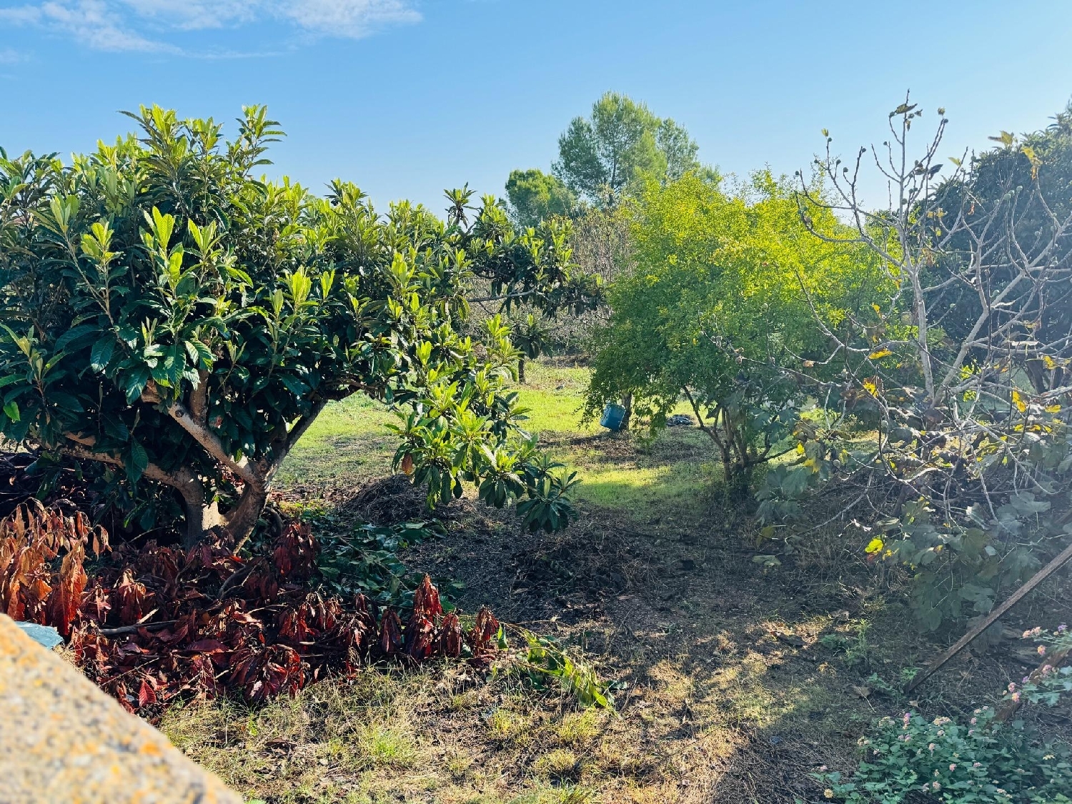 for sale plot La Bisbal Del Penedès Baix Penedès 2