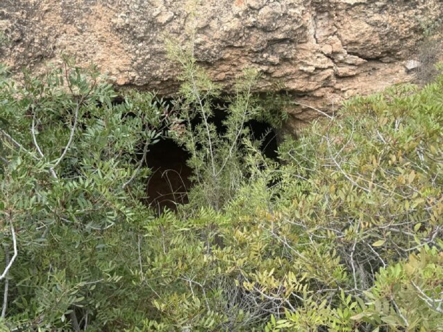 te koop perceel La Romana Vinalopó Mitjà 2
