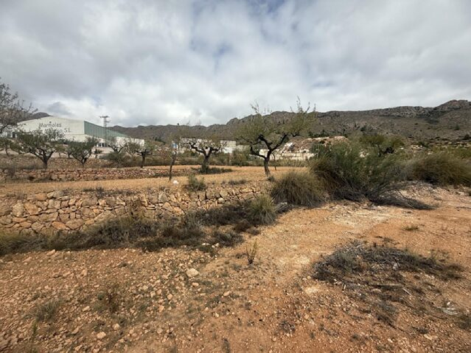  te koop perceel La Romana Vinalopó Mitjà 10
