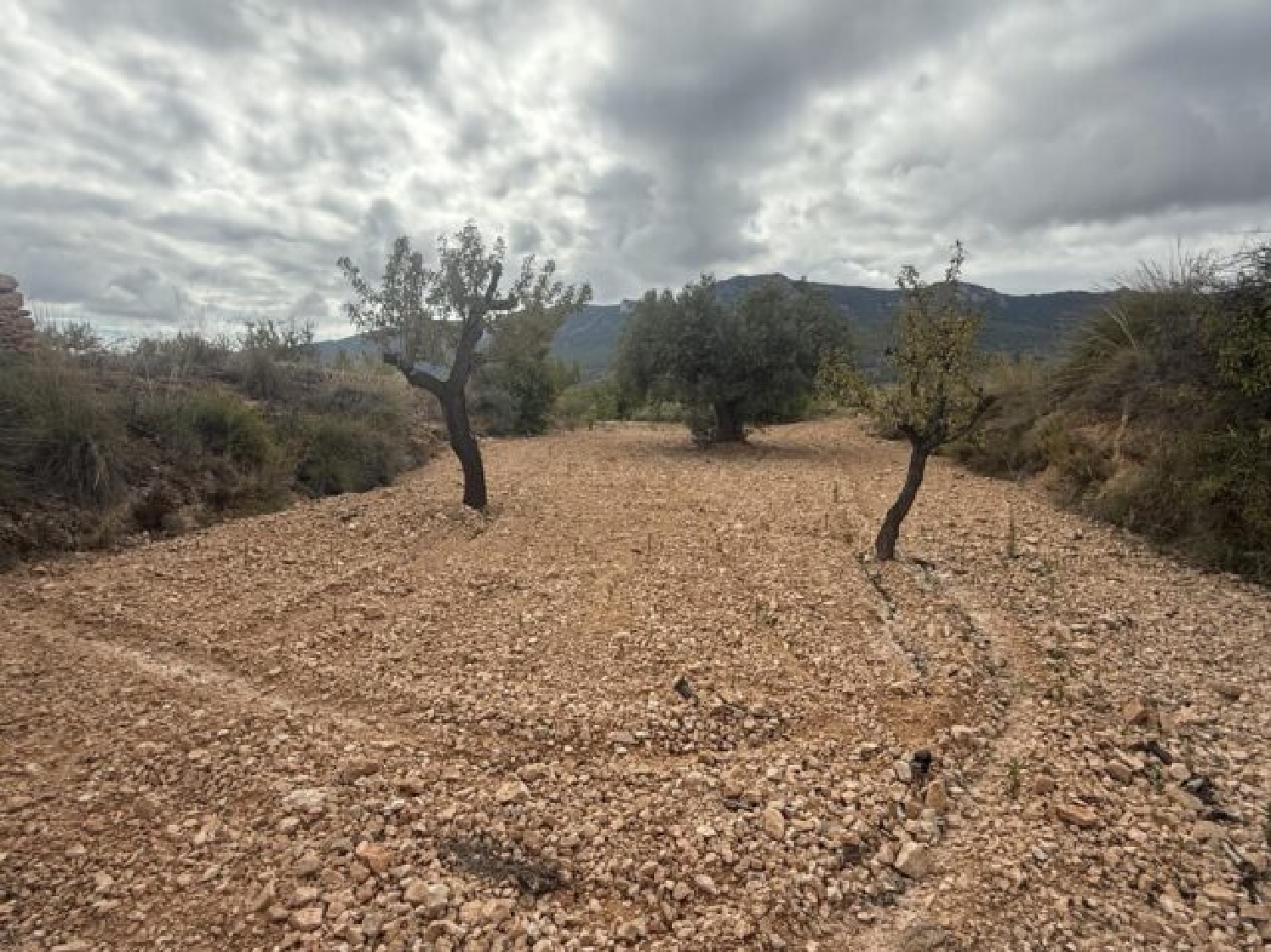  te koop perceel La Romana Vinalopó Mitjà 20