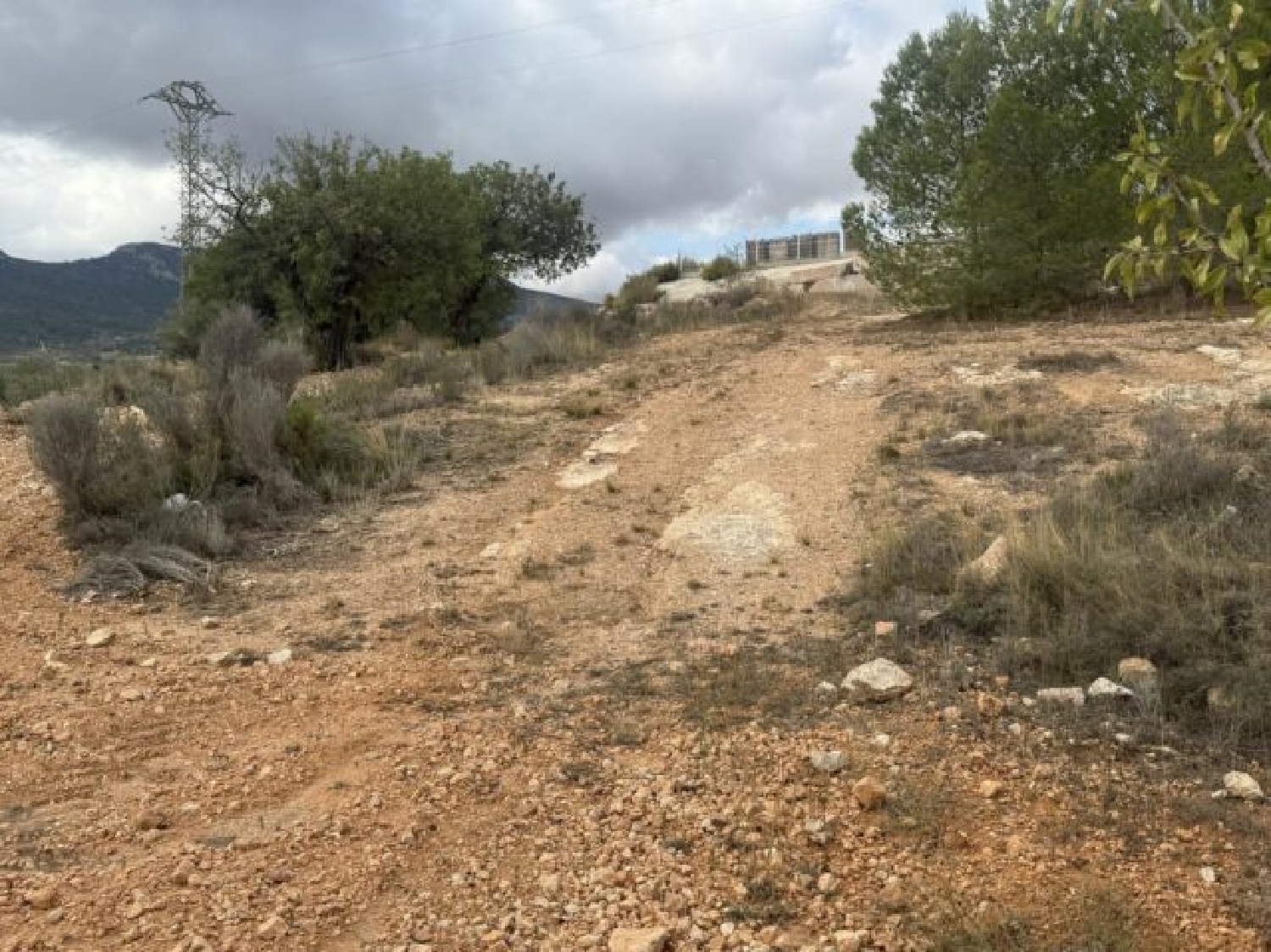  te koop perceel La Romana Vinalopó Mitjà 9