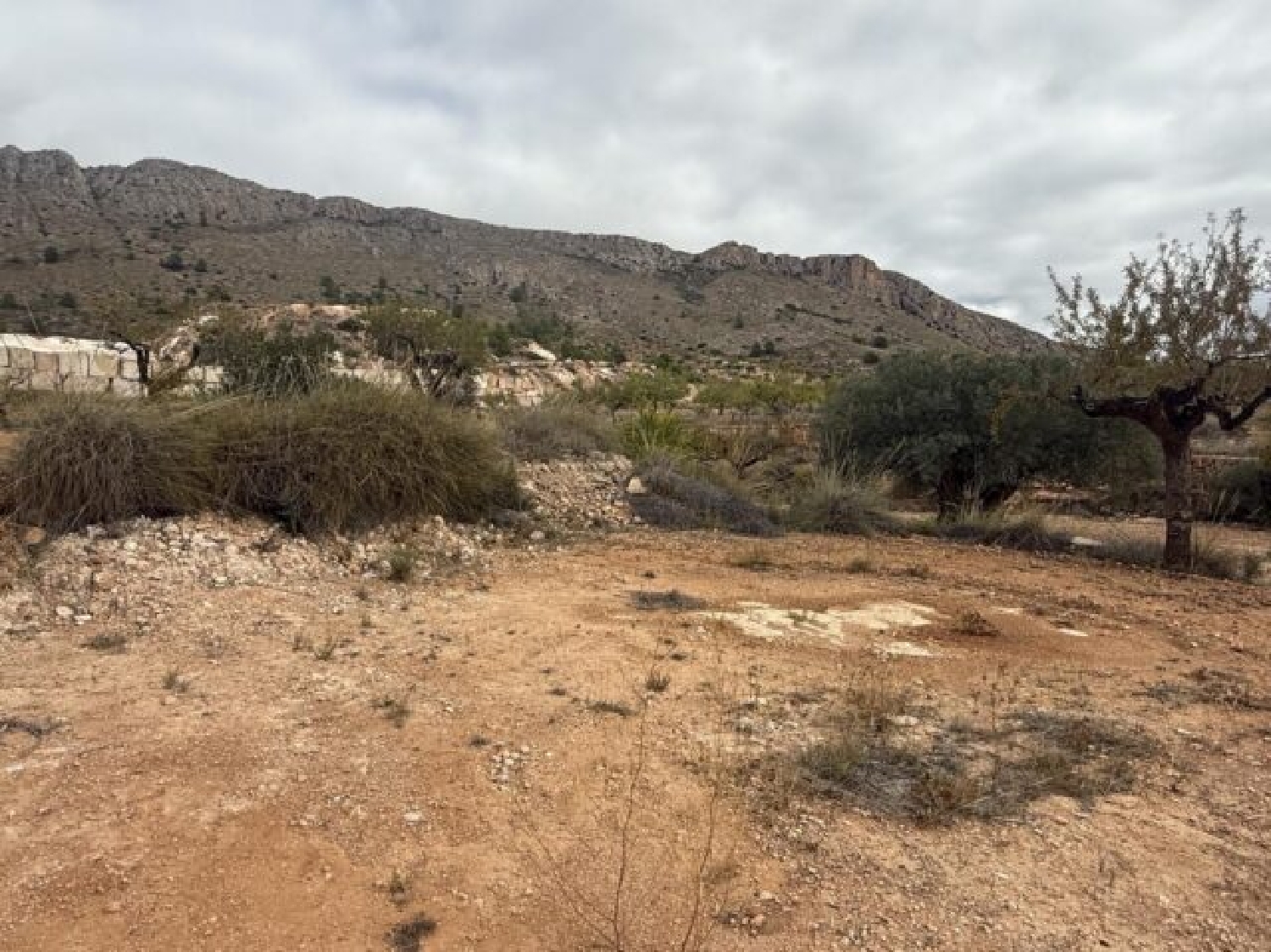  te koop perceel La Romana Vinalopó Mitjà 5