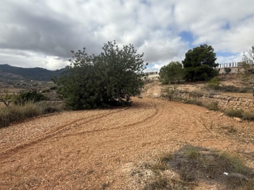 La Romana Vinalopó Mitjà terrain foto 6310083