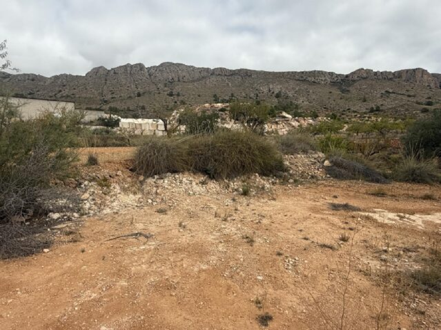  te koop perceel La Romana Vinalopó Mitjà 4