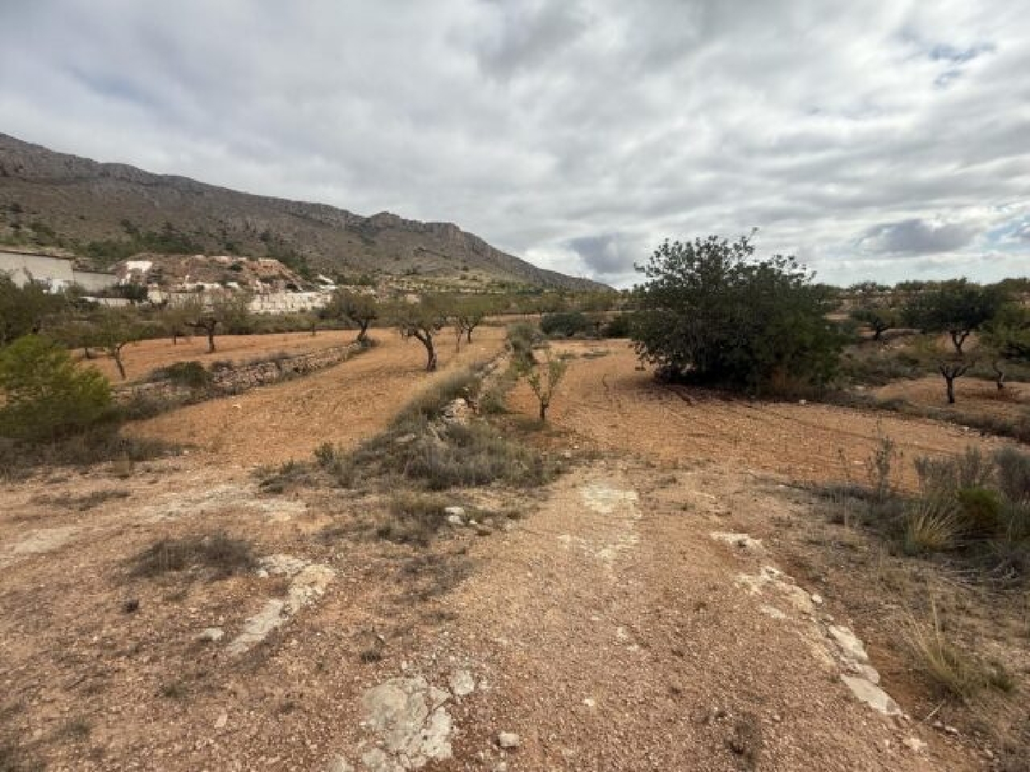  te koop perceel La Romana Vinalopó Mitjà 13