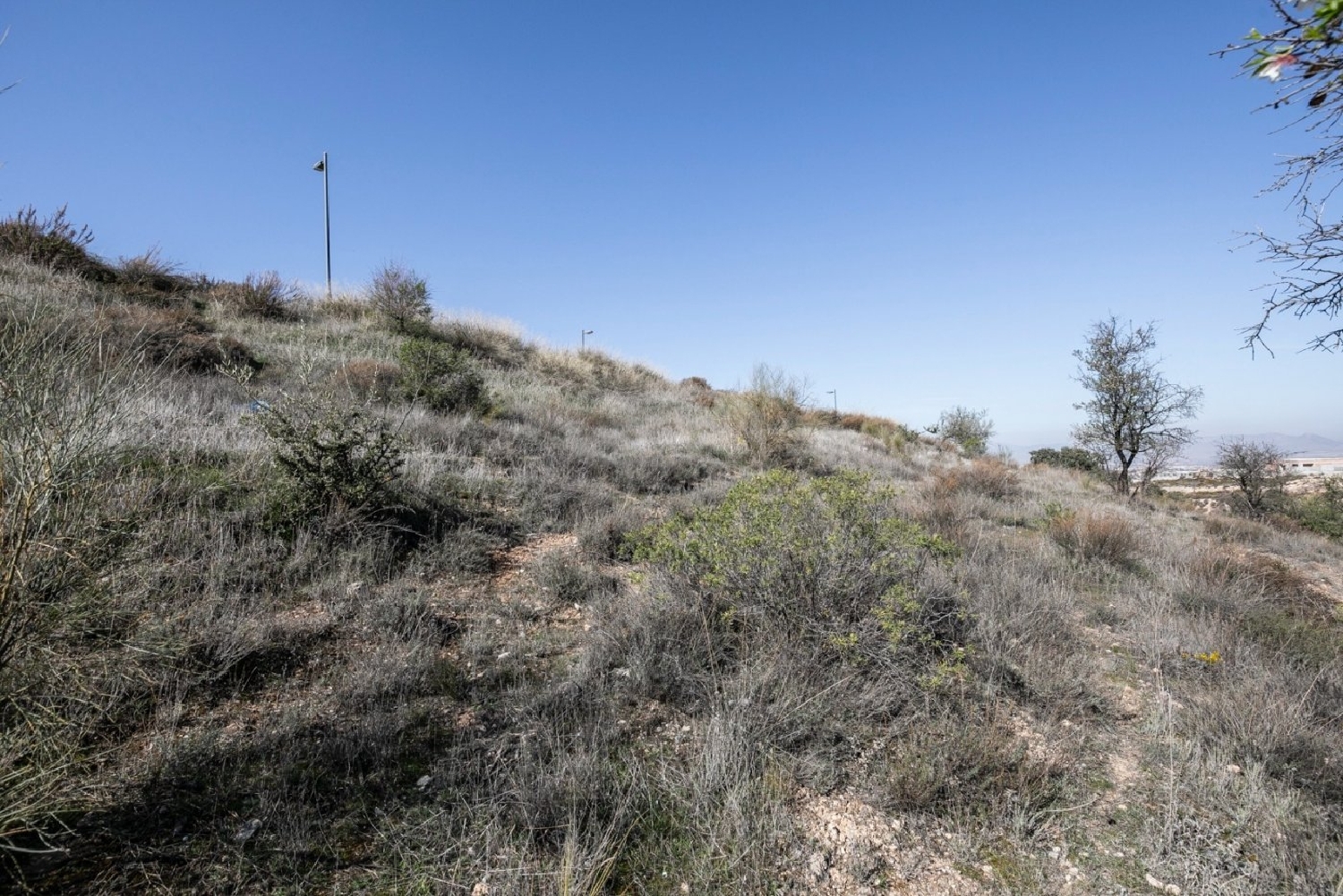  for sale plot La Zubia Vega De Granada 6