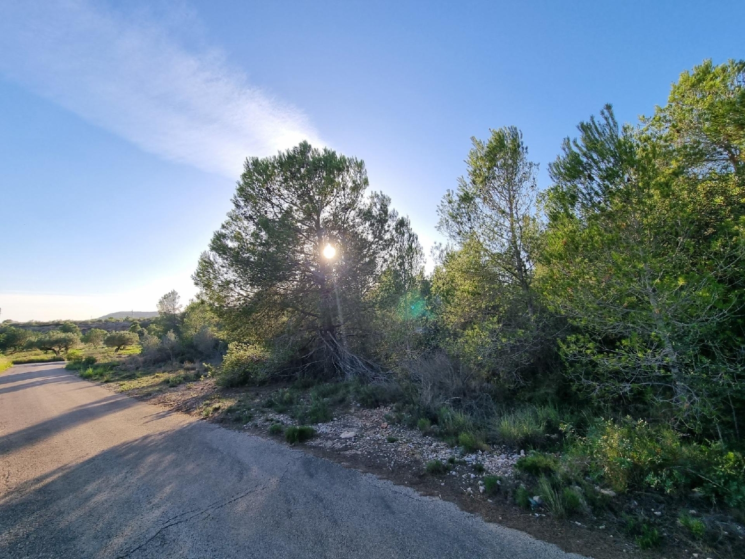  kaufen Grundstück L'ametlla De Mar Baix Ebre 1