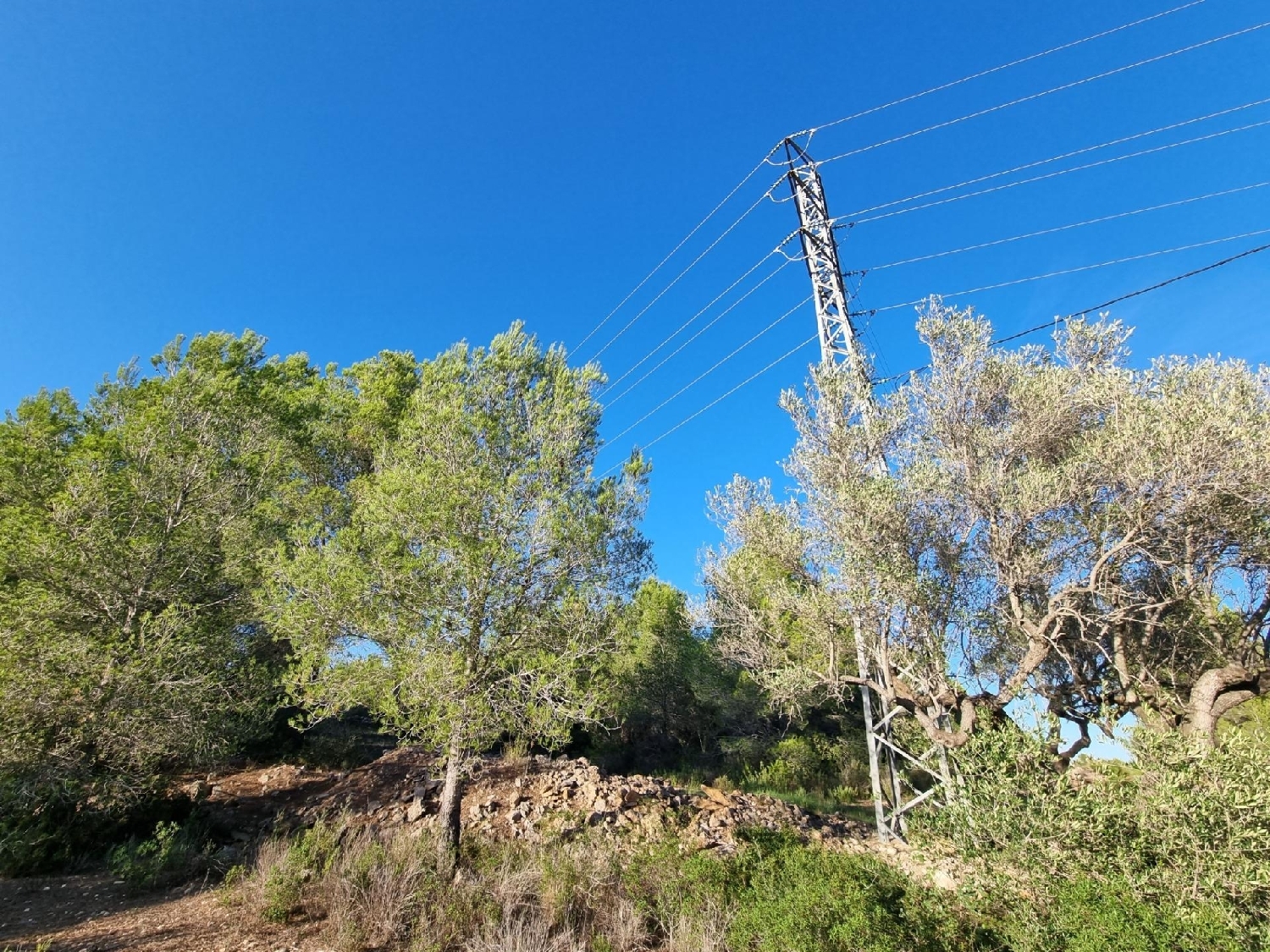 kaufen Grundstück L'ametlla De Mar Baix Ebre 3