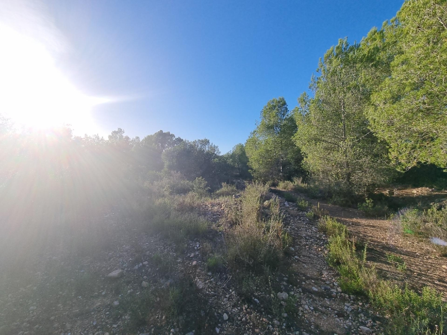  kaufen Grundstück L'ametlla De Mar Baix Ebre 6