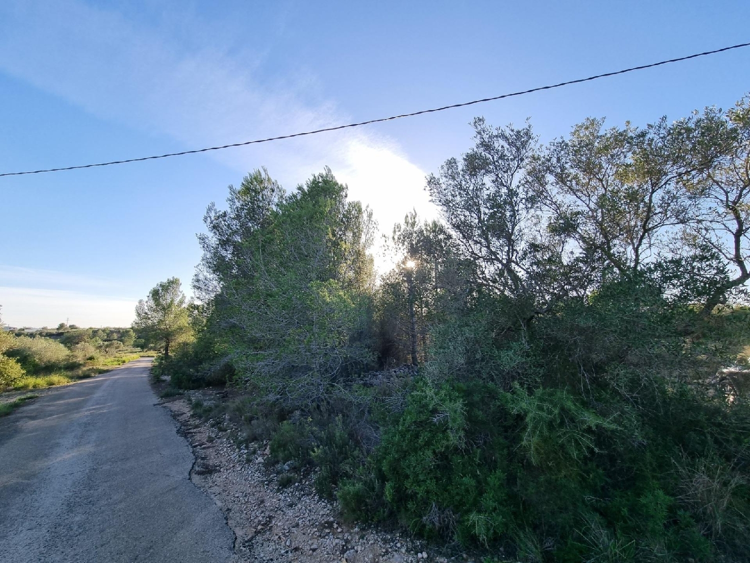 kaufen Grundstück L'ametlla De Mar Baix Ebre 2