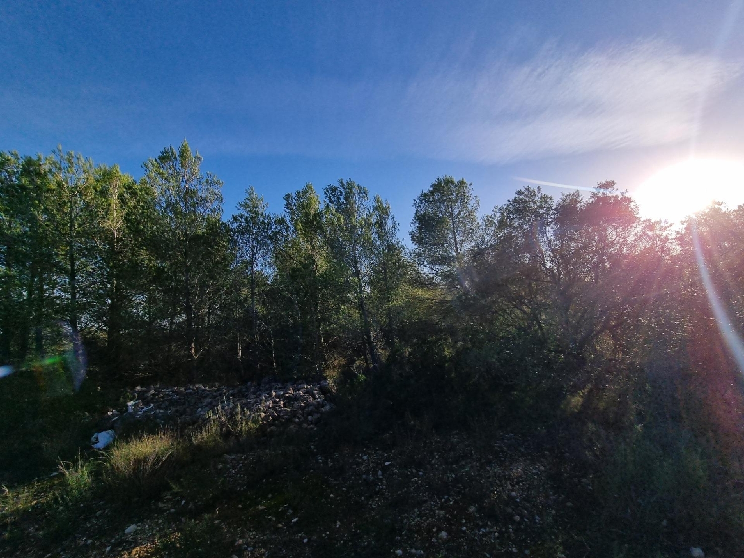  kaufen Grundstück L'ametlla De Mar Baix Ebre 5