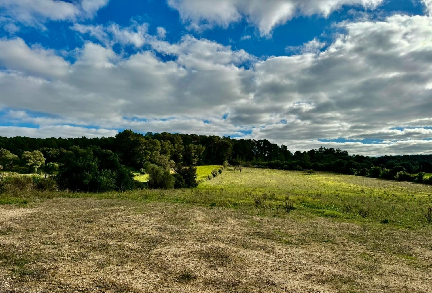 à vendre terrain Lloret De Vistalegre Pla (Es) 8