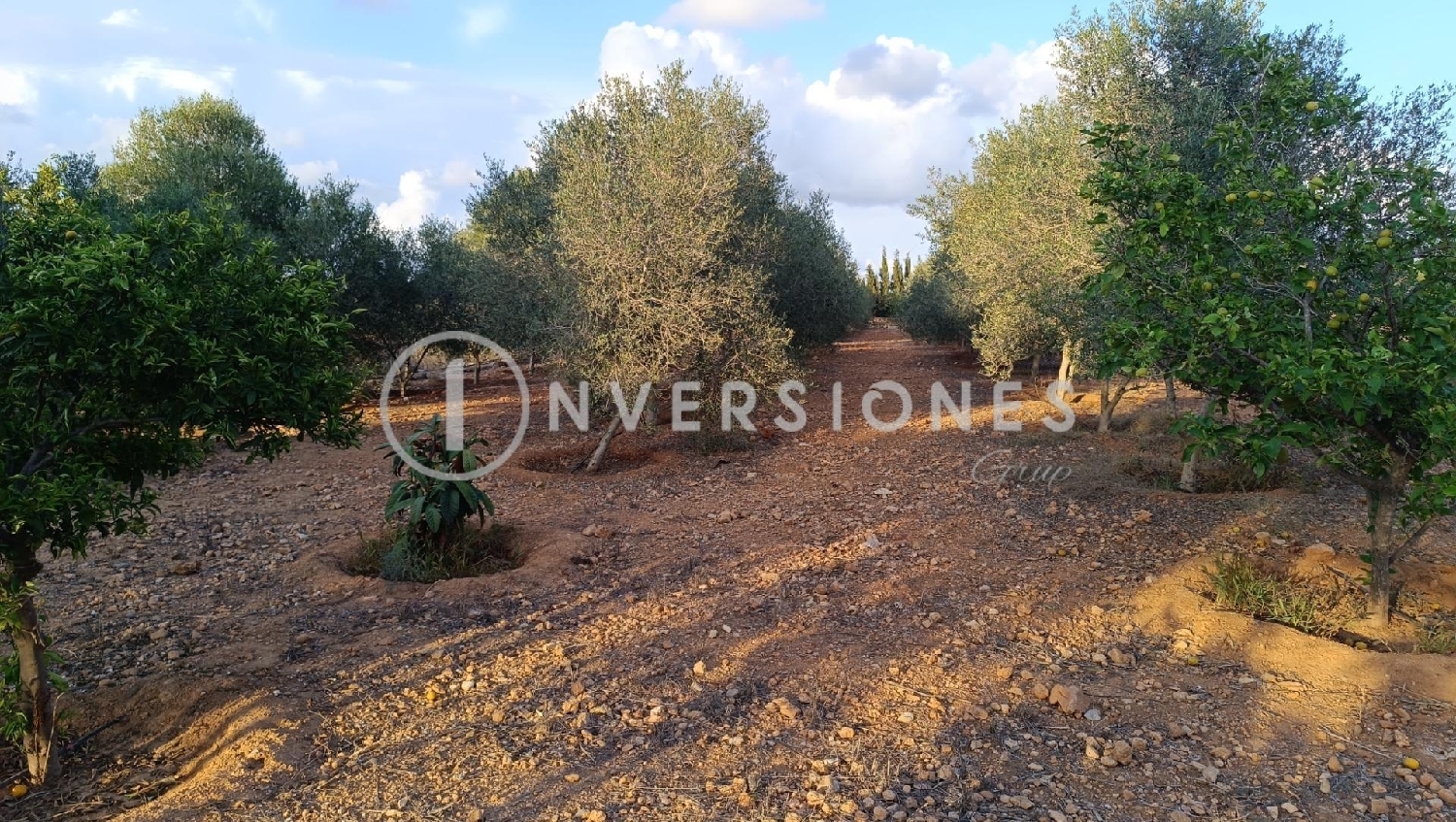 till salu tomt Llucmajor Llucmajor 1