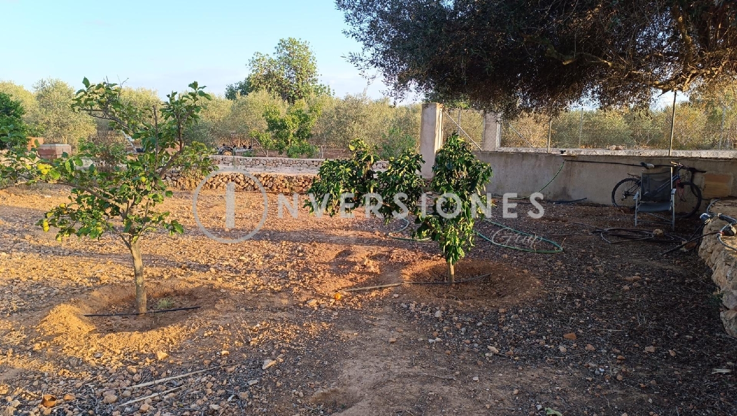 till salu tomt Llucmajor Llucmajor 4