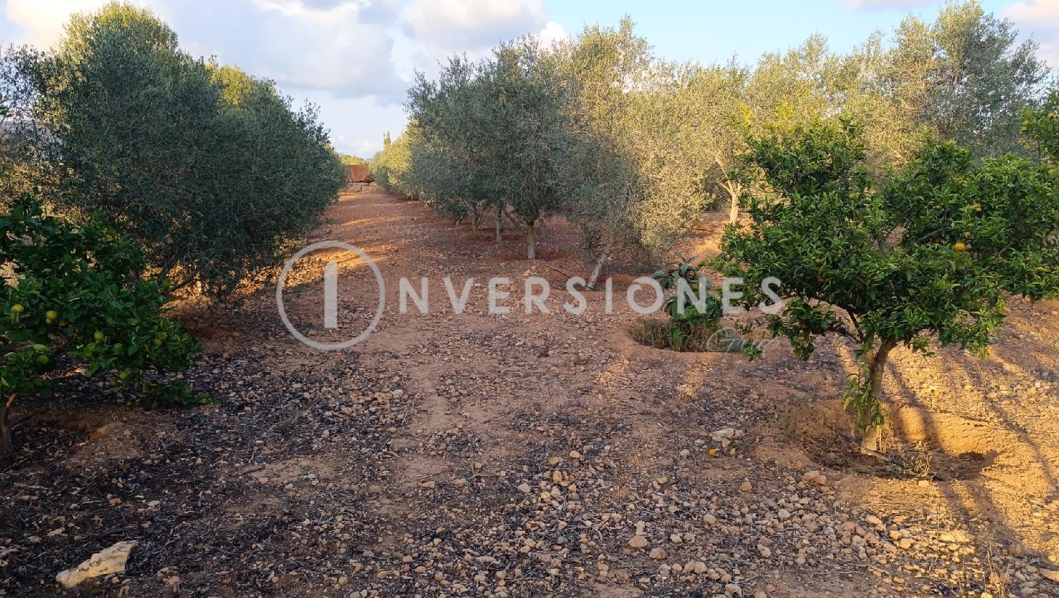 till salu tomt Llucmajor Llucmajor 5