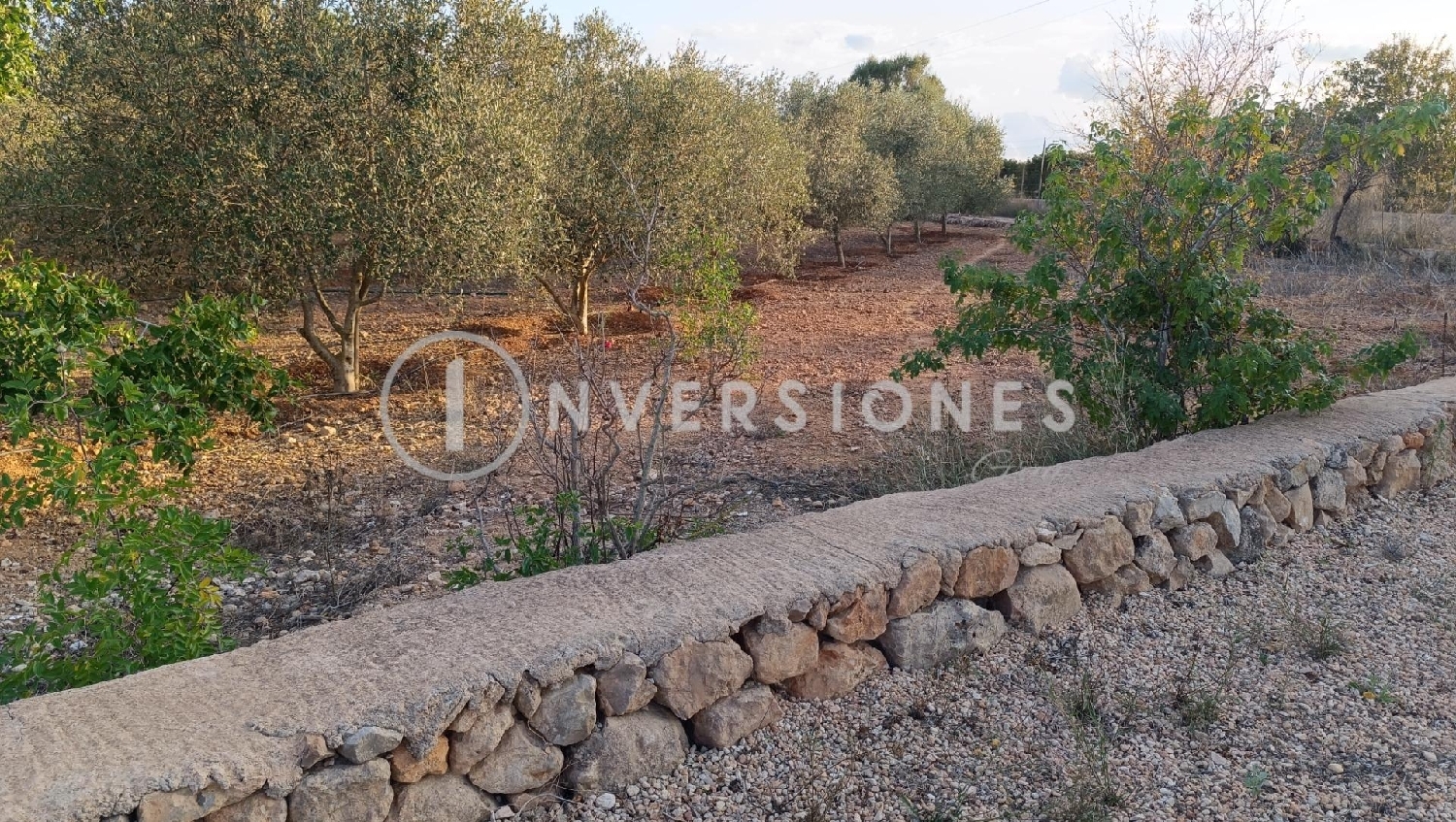 till salu tomt Llucmajor Llucmajor 7