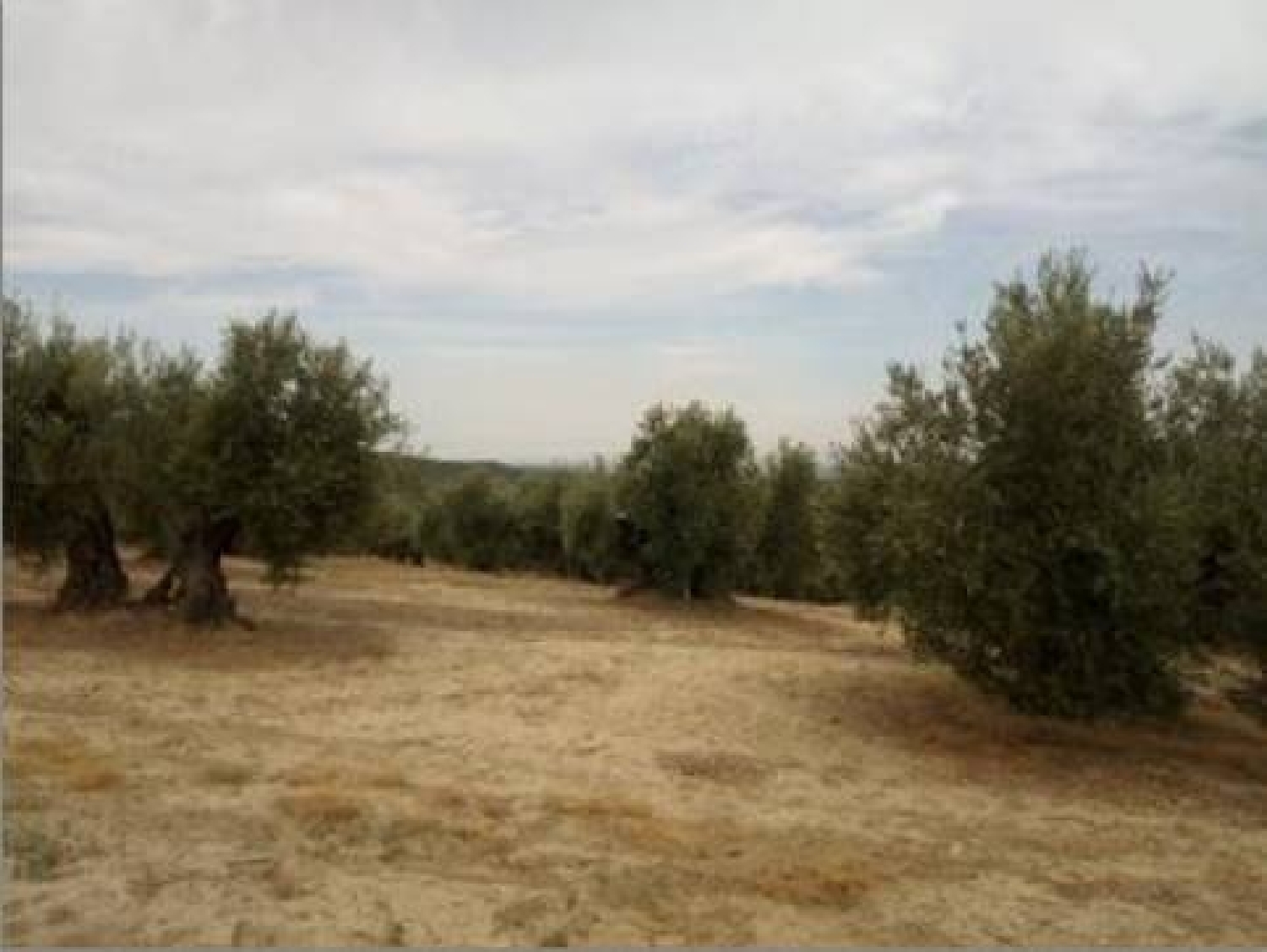  till salu tomt Lopera Campiña De Jaén 6