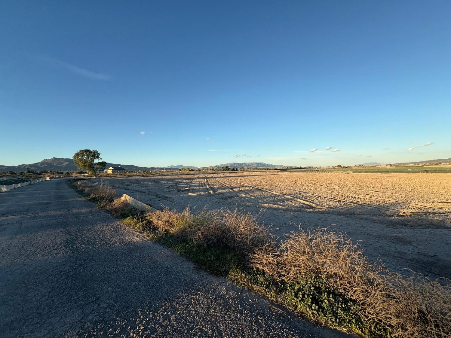  for sale plot Lorca Alto Guadalentín 4