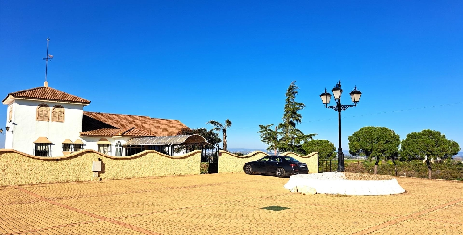 à vendre terrain Mairena Del Alcor Campiña De Carmona 4