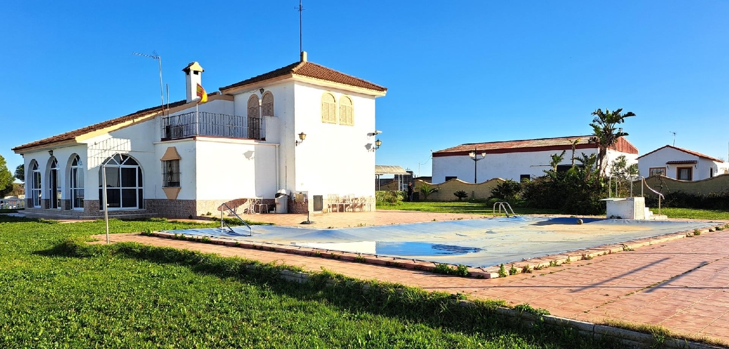 à vendre terrain Mairena Del Alcor Campiña De Carmona 7