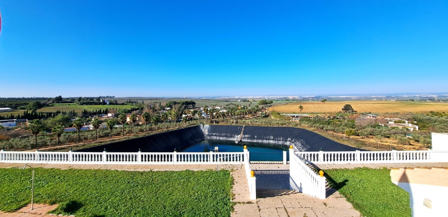 à vendre terrain Mairena Del Alcor Campiña De Carmona 1