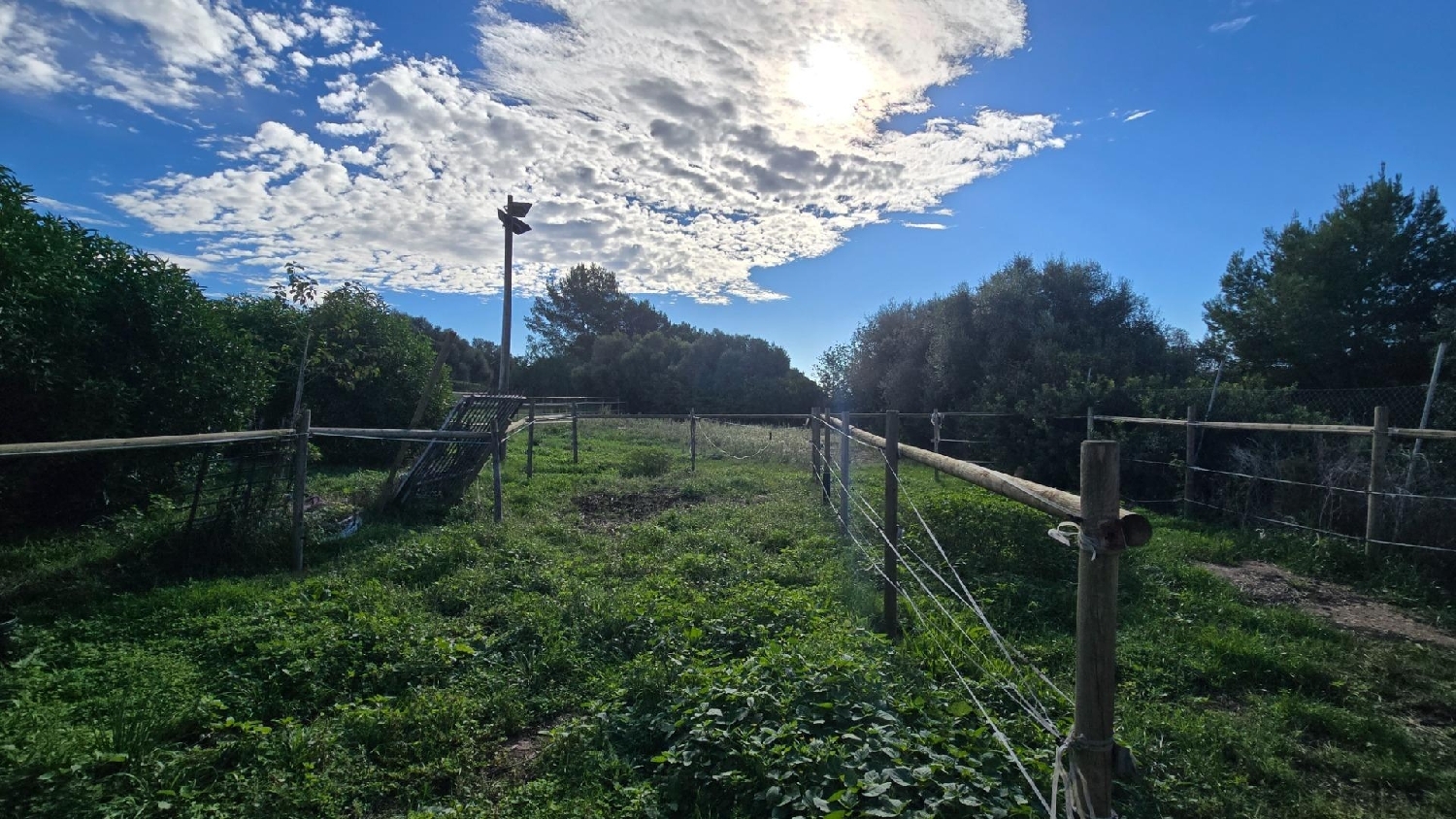 en venta terreno Manacor Llevant 4