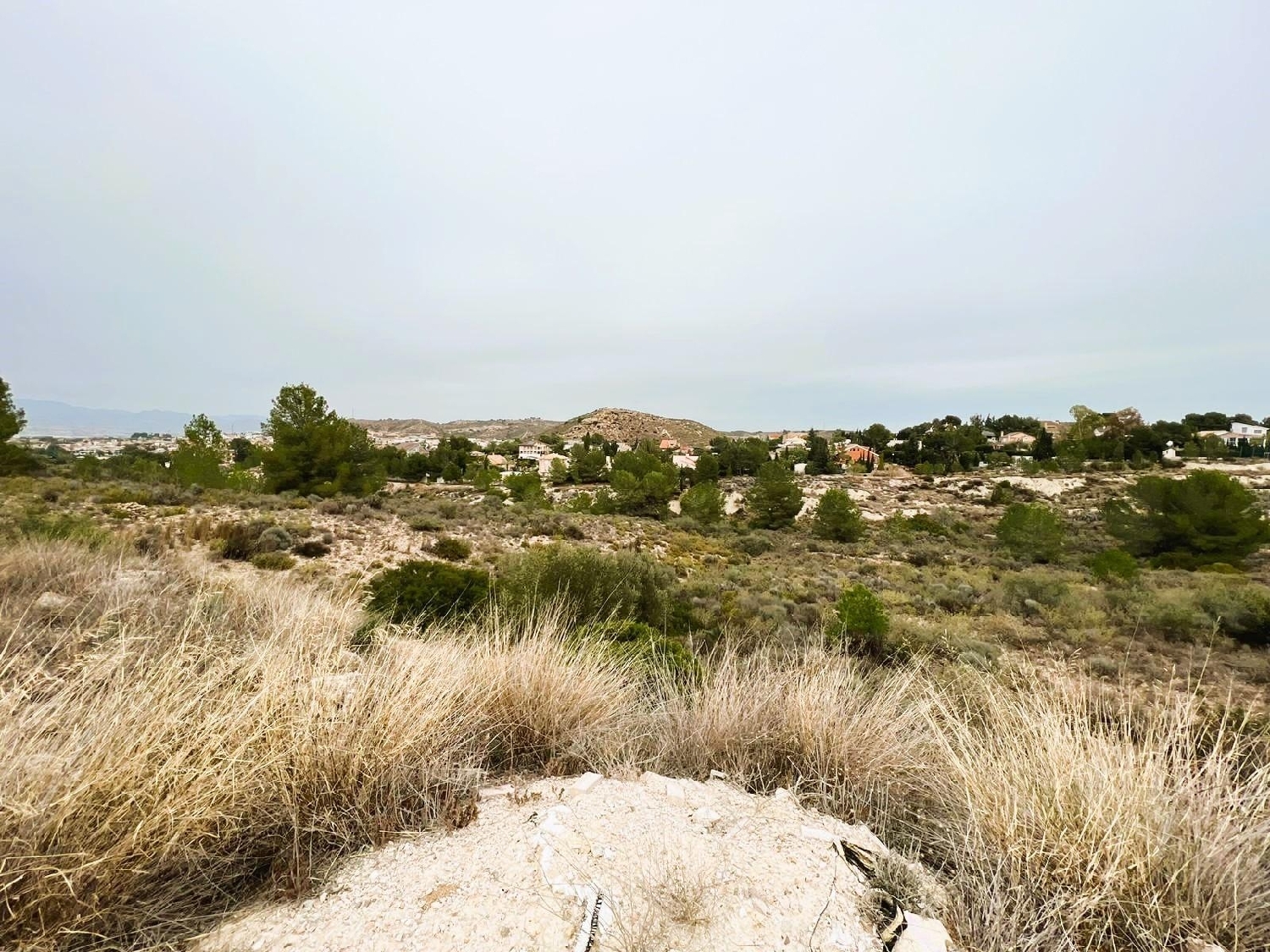  en venta terreno Molina De Segura Vega Media Del Segura 1